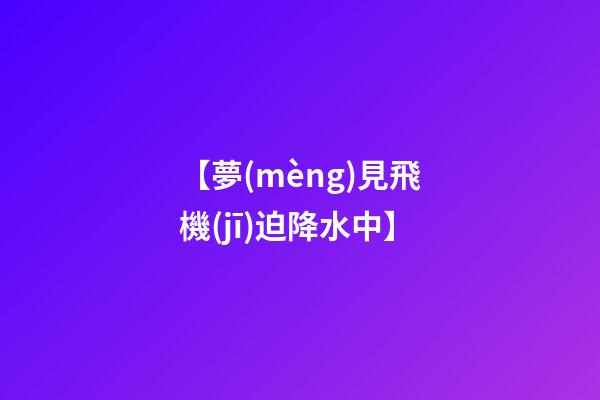 【夢(mèng)見飛機(jī)迫降水中】