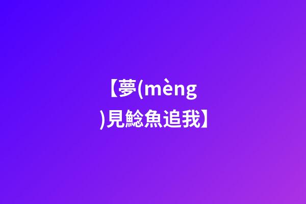 【夢(mèng)見鯰魚追我】