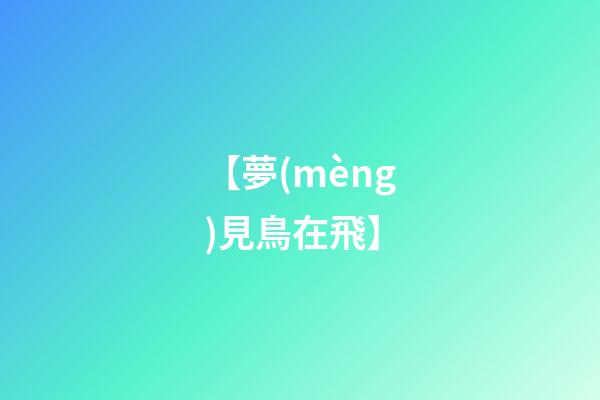 【夢(mèng)見鳥在飛】