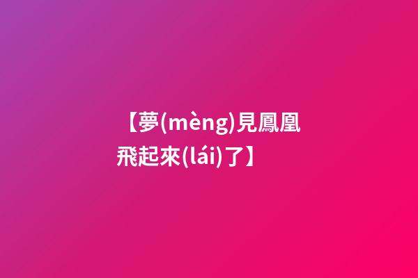 【夢(mèng)見鳳凰飛起來(lái)了】