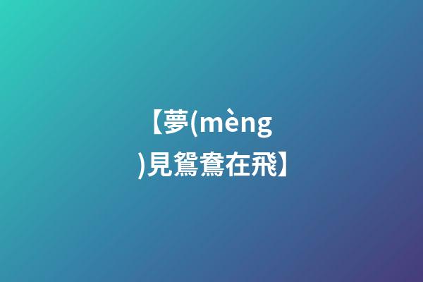【夢(mèng)見鴛鴦在飛】