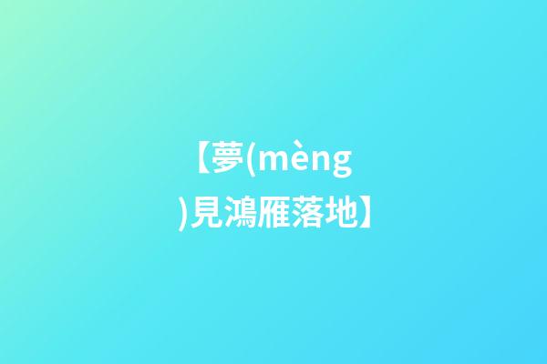 【夢(mèng)見鴻雁落地】