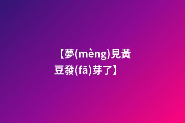 【夢(mèng)見黃豆發(fā)芽了】