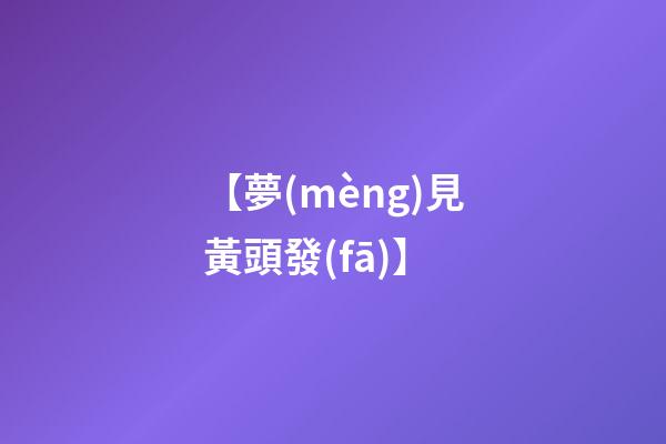 【夢(mèng)見黃頭發(fā)】