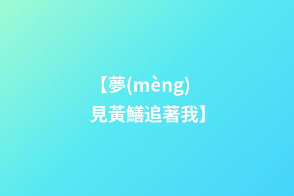 【夢(mèng)見黃鱔追著我】