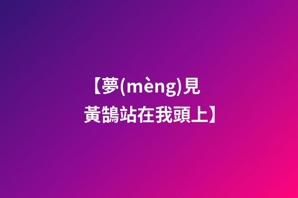 【夢(mèng)見黃鵠站在我頭上】