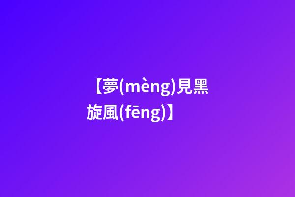 【夢(mèng)見黑旋風(fēng)】