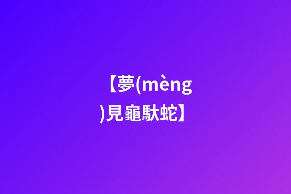 【夢(mèng)見龜馱蛇】