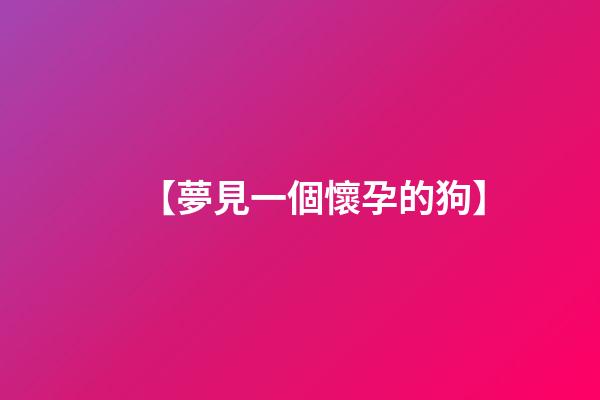 【夢見一個懷孕的狗】