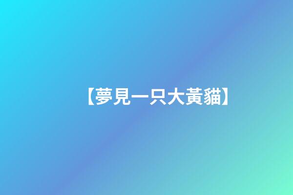 【夢見一只大黃貓】