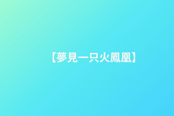 【夢見一只火鳳凰】