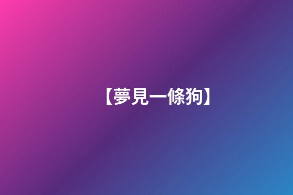 【夢見一條狗】