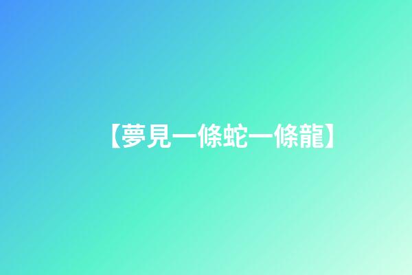 【夢見一條蛇一條龍】