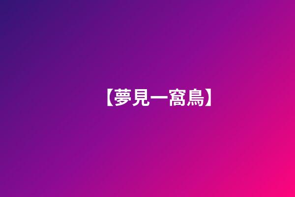 【夢見一窩鳥】