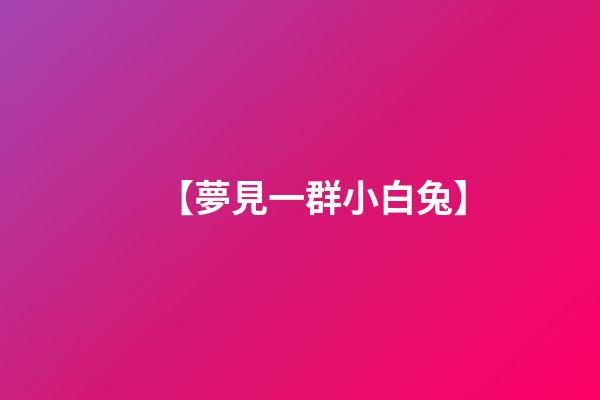 【夢見一群小白兔】