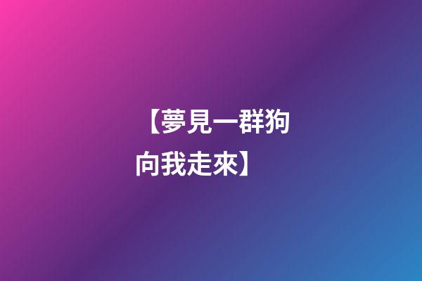 【夢見一群狗向我走來】