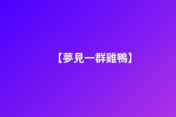 【夢見一群雞鴨】