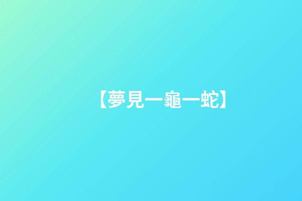 【夢見一龜一蛇】