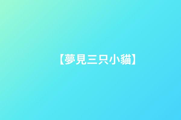 【夢見三只小貓】