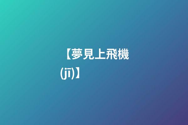 【夢見上飛機(jī)】