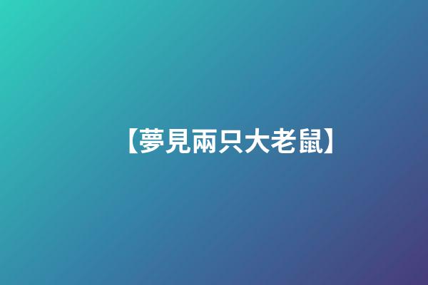 【夢見兩只大老鼠】