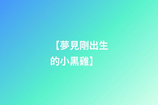 【夢見剛出生的小黑雞】