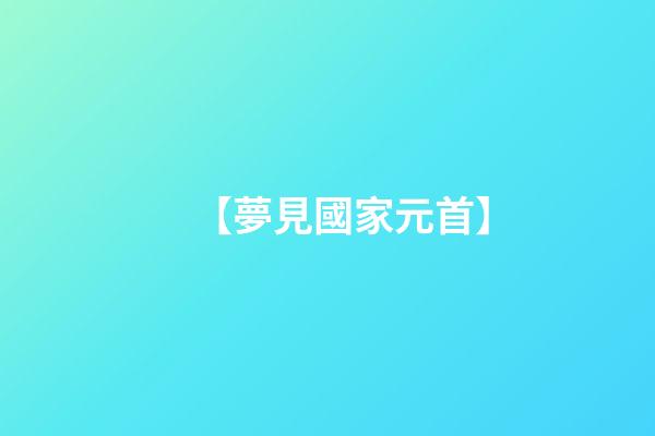 【夢見國家元首】
