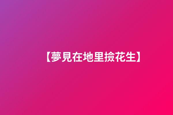 【夢見在地里撿花生】