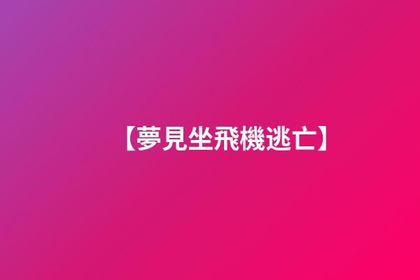 【夢見坐飛機逃亡】