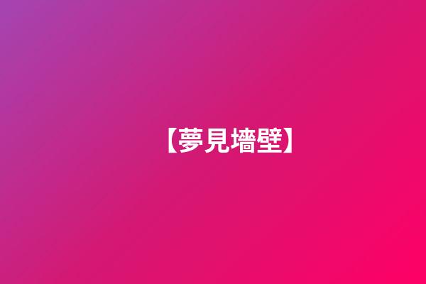 【夢見墻壁】