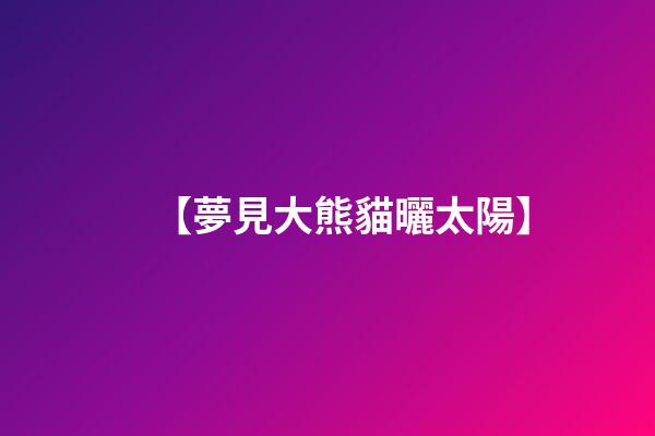 【夢見大熊貓曬太陽】