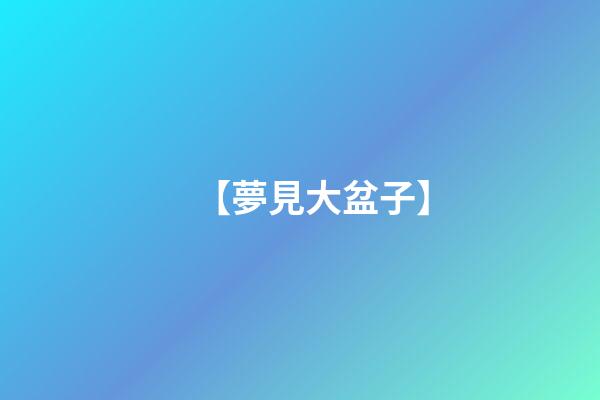 【夢見大盆子】