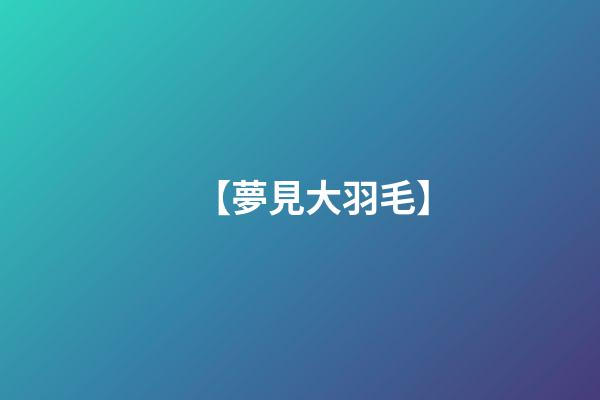 【夢見大羽毛】