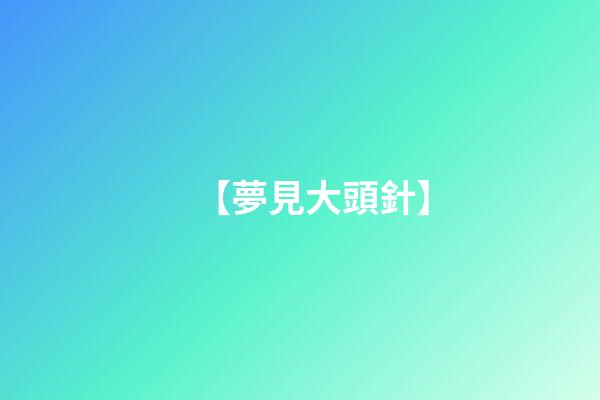 【夢見大頭針】