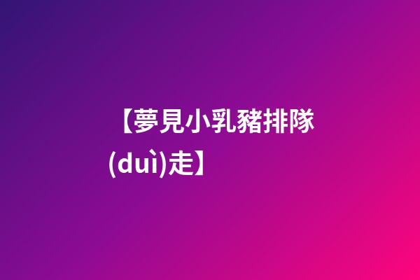 【夢見小乳豬排隊(duì)走】