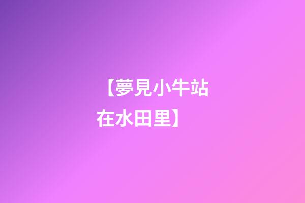 【夢見小牛站在水田里】