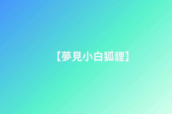 【夢見小白狐貍】