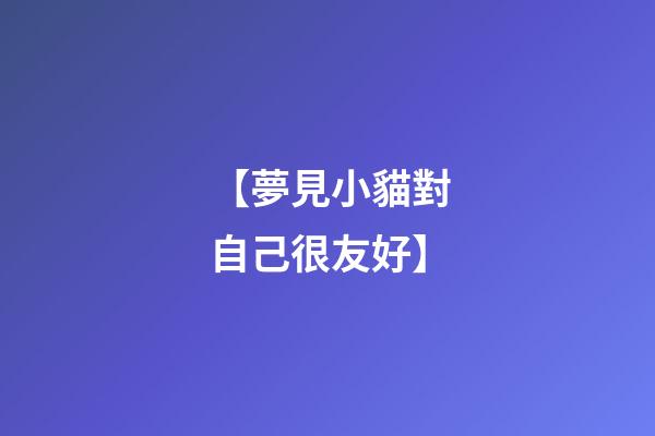 【夢見小貓對自己很友好】