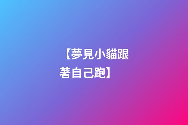 【夢見小貓跟著自己跑】