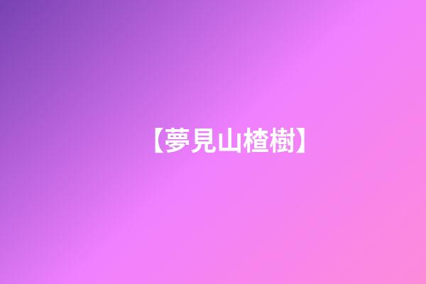 【夢見山楂樹】