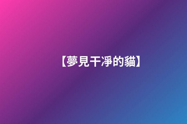 【夢見干凈的貓】