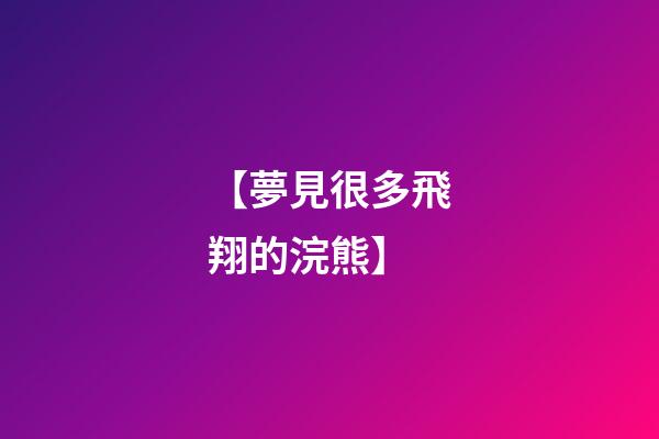 【夢見很多飛翔的浣熊】