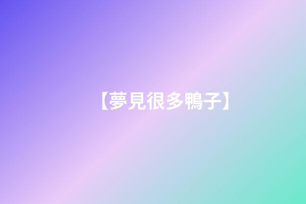 【夢見很多鴨子】