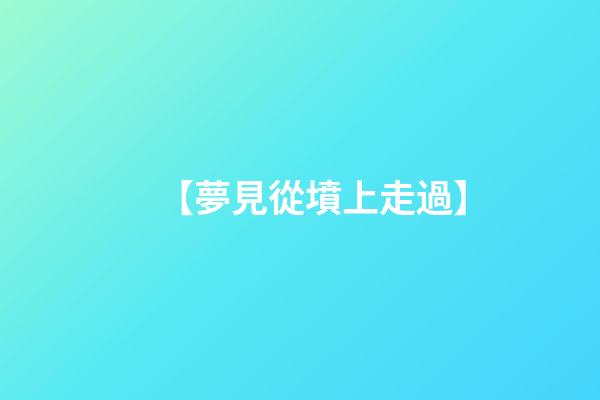 【夢見從墳上走過】