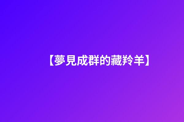 【夢見成群的藏羚羊】