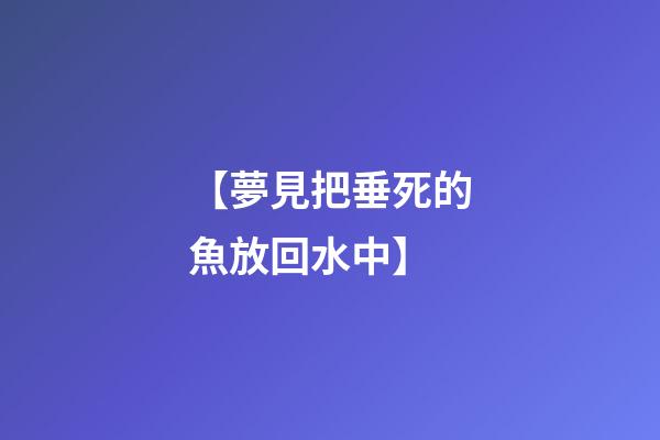【夢見把垂死的魚放回水中】