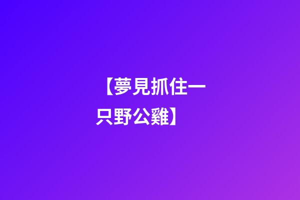 【夢見抓住一只野公雞】