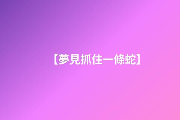 【夢見抓住一條蛇】