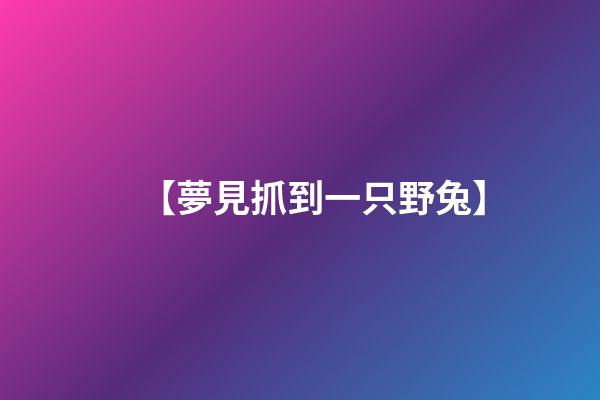 【夢見抓到一只野兔】