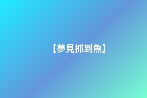 【夢見抓到魚】